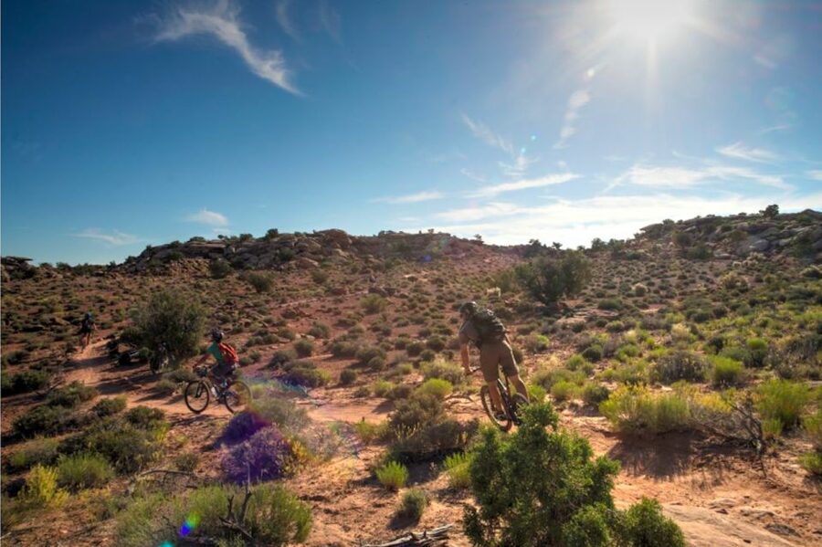 Moab: Mountain Bike Half Day Tour - Slickrock, canyons, and views toward Arches