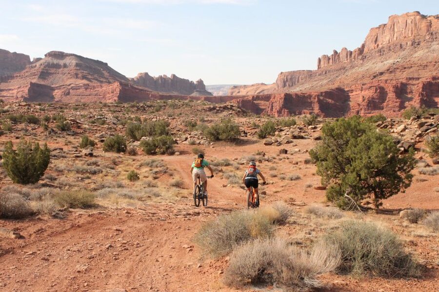 Moab: Mountain Bike Half Day Tour - Meeting at Chile Pepper Bike Shop