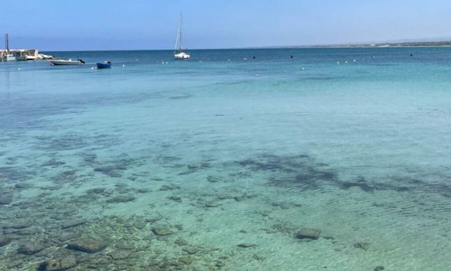 Monopoli: E-Bike Tour with Sandwich and Wine - Riding toward Capitolo and its beaches