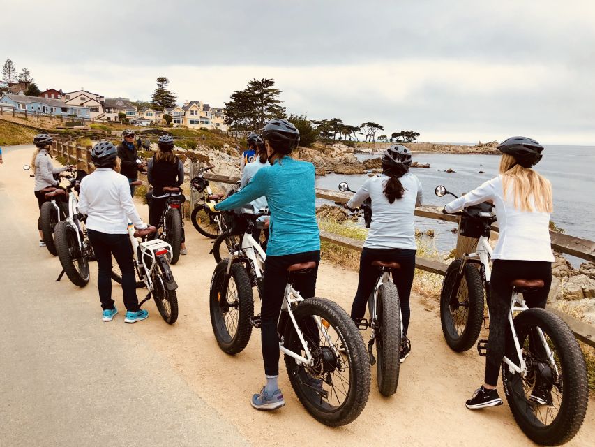 Monterey: 17-Mile Drive Guided E-Bike Tour - China Rock and Bird Rock: wildlife with a front-row view