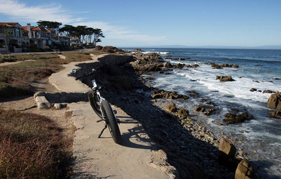 Monterey: 17-Mile Drive Guided E-Bike Tour - The Del Monte Forest and its old cypress trees