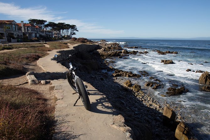 Monterey's 17 Mile Drive Guided Electric Bike Tour, 3 hr - Bird Rock, sea lions, and a useful restroom stop