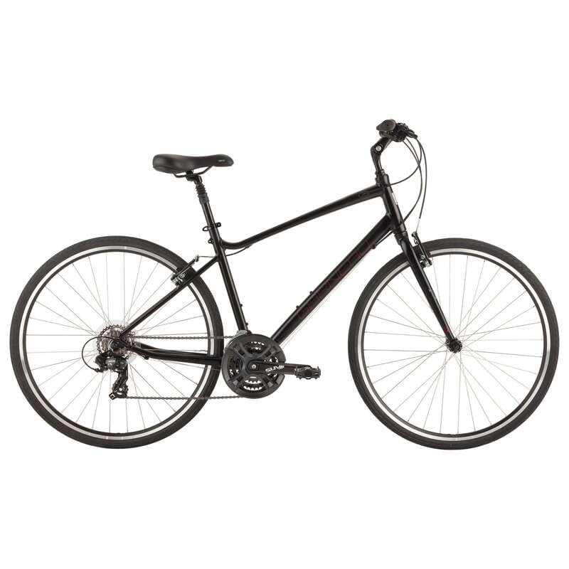 Montreal: All-Day Bicycle Rental - Why an all-day bike rental fits Montreal