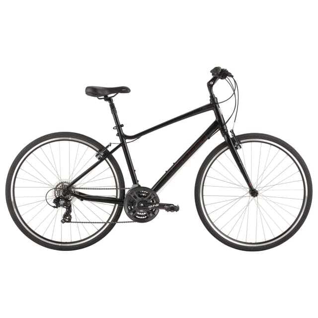 Montreal: All-Day Bicycle Rental - Who should rent a bike for the day?