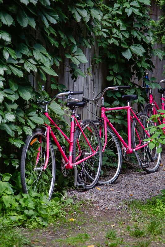 Montreal: Non Touristy Pink Bike Tour - Who will enjoy this ride most