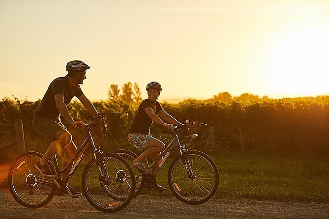 Morning Guided with Afternoon Self-Guided Biking Wine Tour - Lunch is your responsibility