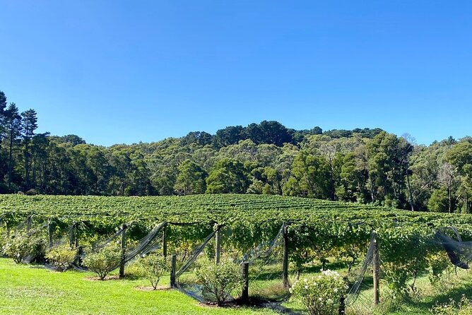 Mornington Peninsula Self-Guided Bike Tour | Food & Wine Region - Mock Red Hill offers cider and family farm character