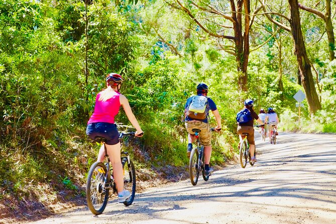 Mornington Peninsula Self-Guided Bike Tour | Food & Wine Region - Arthurs Seat views before the wheels turn
