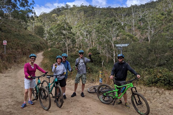 Mount Lofty Descent Bike Tour from Adelaide - About 90 minutes at Cleland Wildlife Park