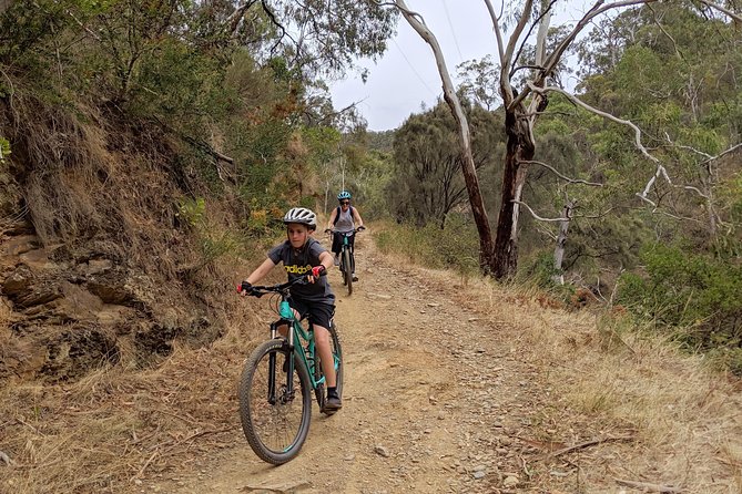 Mount Lofty Descent Bike Tour from Adelaide - Chambers Gully and the ride toward Adelaide
