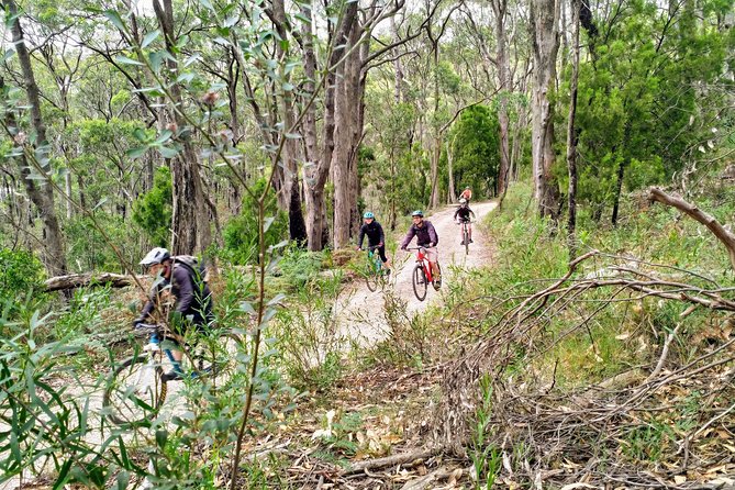 Mount Lofty Descent Bike Tour from Adelaide - Guide quality and the value of a small group