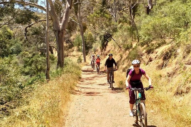 Mount Lofty Descent Bike Tour from Adelaide - Cleland Conservation Park: bushland with a chance of wild koalas