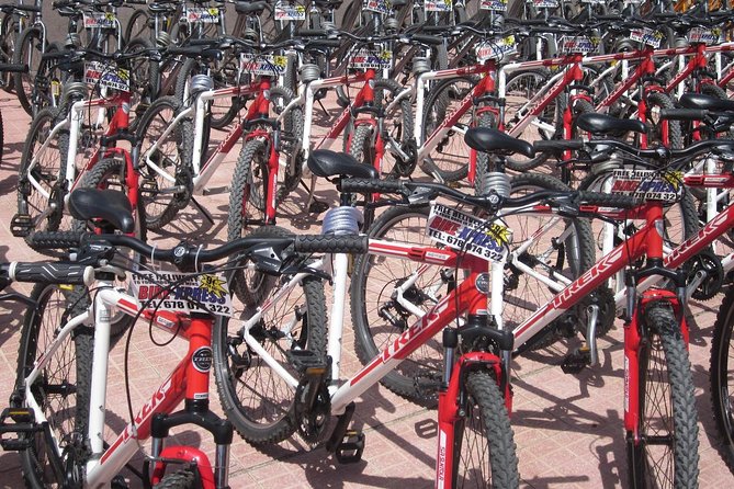 Mountain Bike Rental Tenerife - Price and value for a full day