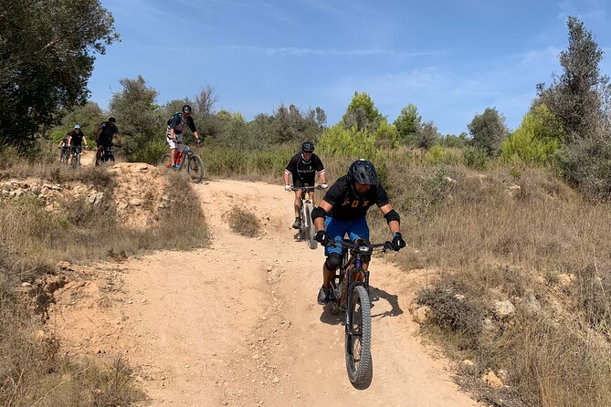 Mountain Bike Tour Font de la Mata - From Orange Groves to Technical Descents
