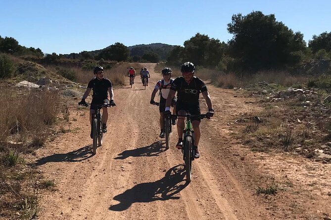 Mountain Bike Tour Font de la Mata - How Much Value Do You Get for $122.70?