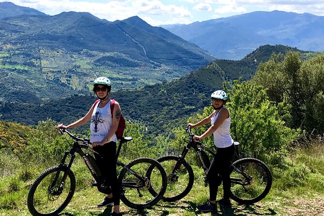 Mountain bike tour of the Madonie from Cefalù - The off-road descent through olive groves