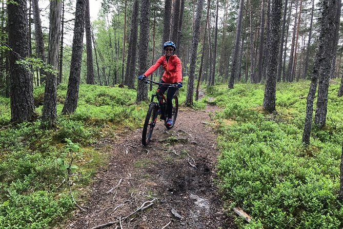 Mountain Bike - Voss Forest - Bikes, gear, and guide support