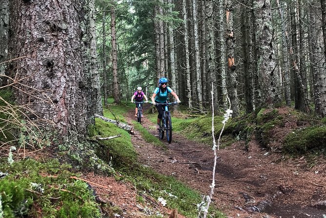 Mountain Bike - Voss Forest - Weather can change the character of the ride