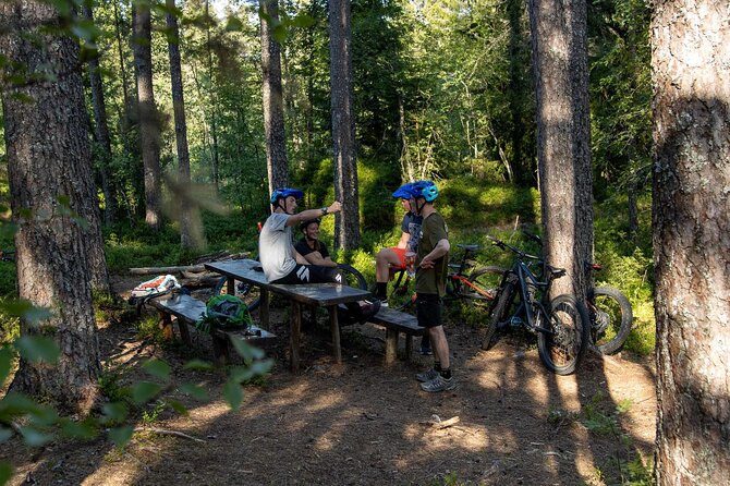 Mountain Bike - Voss Storålsen - Equipment and the value of the $151.92 price