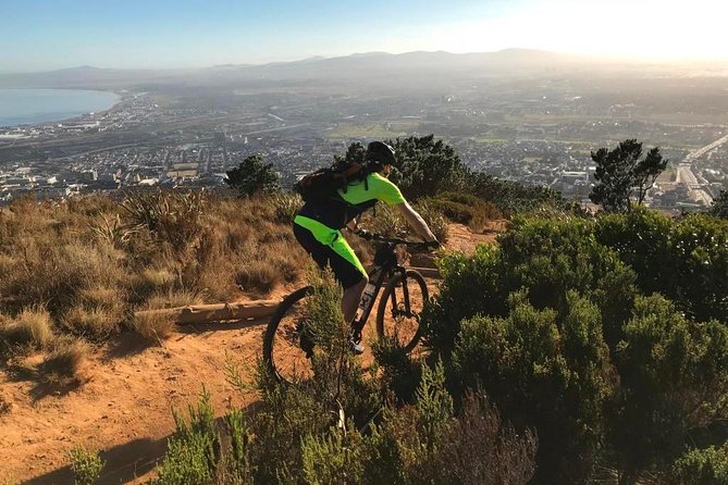 Mountain Biking Table Mountain to Constantia Morning Ride - From easy tarmac to Newlands forest