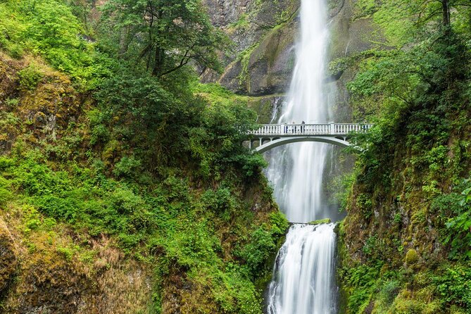 Multnomah Falls Ebiking Tour to 6 Columbia River Gorge Waterfalls - Key Points to Know