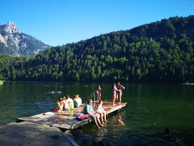 Munich: Neuschwanstein Castle by Bus with Alpine Bike Ride - Lunch with a view of Neuschwanstein