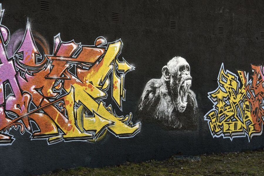 Munich: Street Art Bike Tour - What the bike format means for you