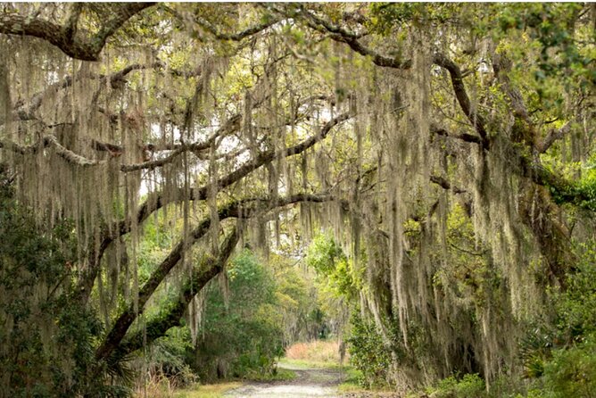 Myakka State Park E-bike Safari - Starting at the 10 a.m. meeting point