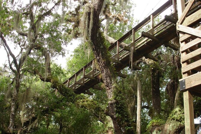Myakka State Park E-bike Safari - Is $85 a good value?