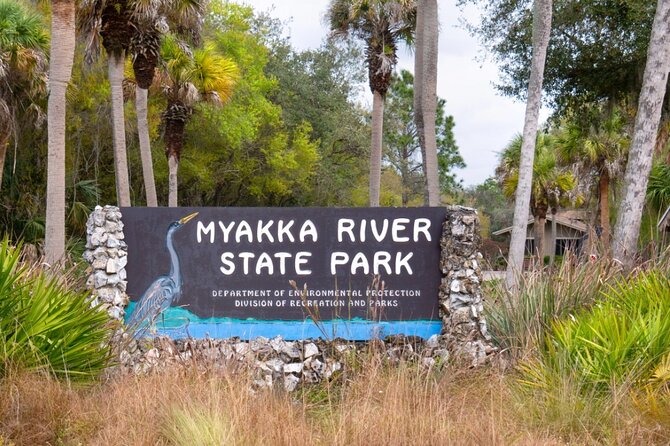 Myakka State Park E-bike Safari - Climbing above the trees on the Myakka Canopy Walkway
