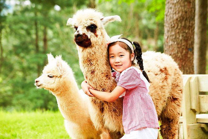 Nami+Alpaca+Garden of Morning Calm (+Rail Bike Option) - Why the guides matter on a day this long