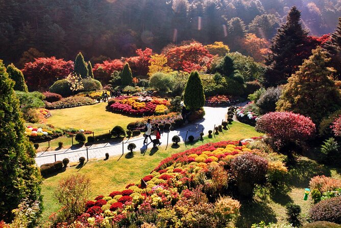 Nami Island & Garden of Morning Calm & Gangchon Railbike Tour - The Garden of Morning Calm after dark
