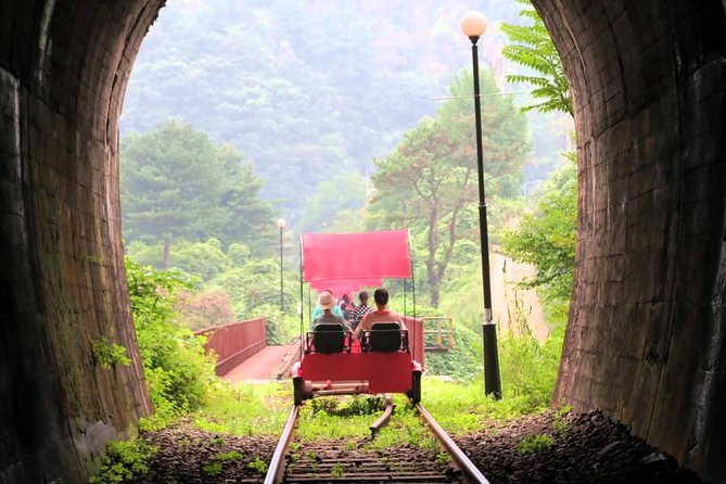 Nami Island & Garden of Morning Calm & Gangchon Railbike Tour - Lunch near Nami Island, with limits on choice