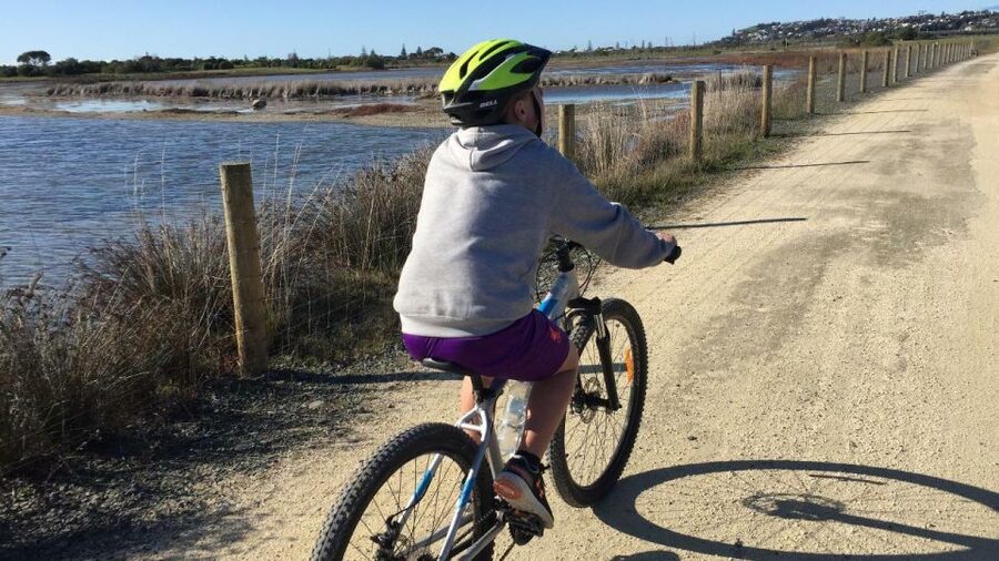 Napier: Art Deco Bike Ride and Wineries Loop - Church Road and Mission Estate in Taradale