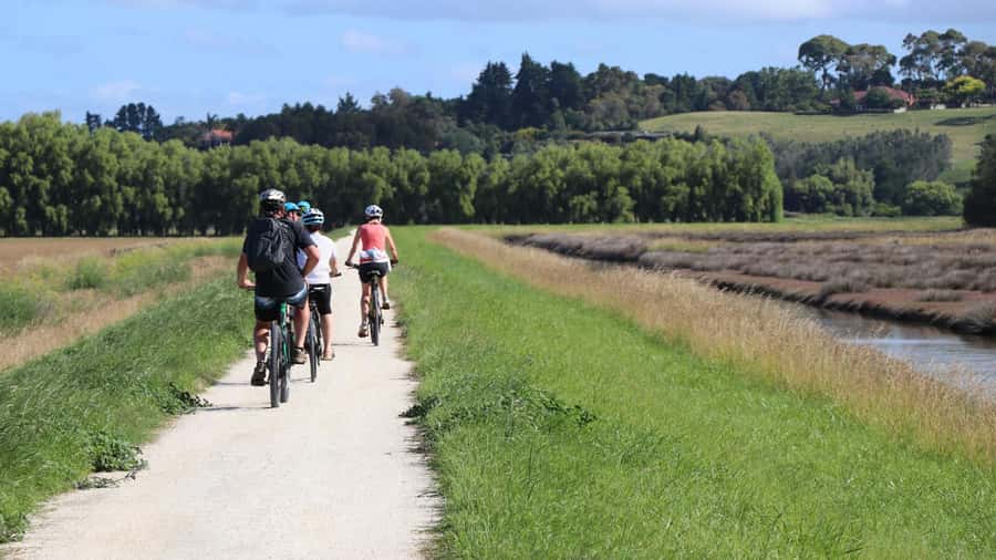 Napier: Art Deco Bike Ride and Wineries Loop - Central Napier and the Art Deco pause