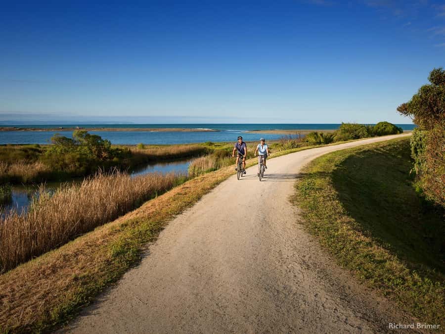 Napier: Cape Coast Winery Tour on E-Bikes - Why This Hawkes Bay Ride Works So Well