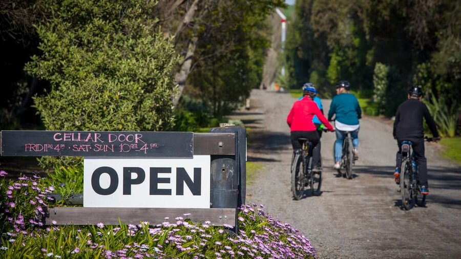 Napier: Cape Coast Winery Tour on E-Bikes - Who Should Book This Day?