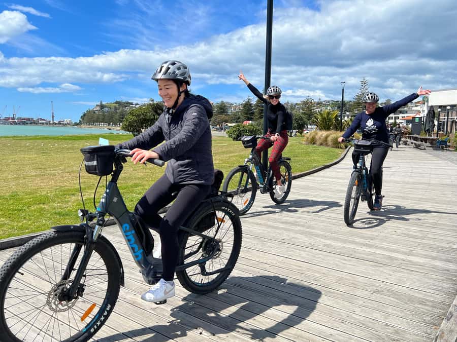 Napier: Cruise Self-Guided Cycle Ride to Winery - Half Day - Riding beside the Pacific Ocean