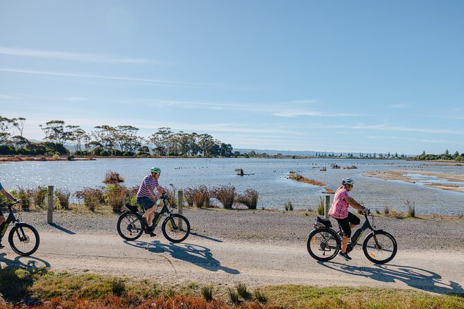 Napier E-bike Hire - Why this Napier ride works so well