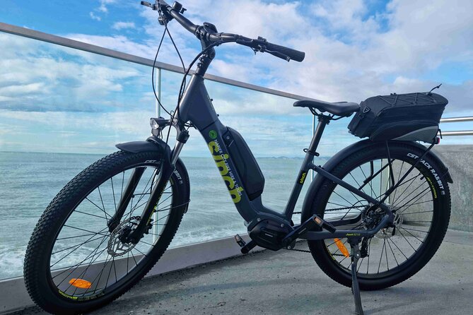 Napier E-bike Hire - The wetlands route and quieter scenery