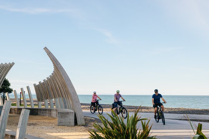 Napier E-bike Hire - How much time should you allow?
