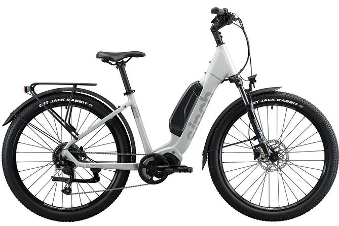 Napier E-bike Hire - Cruise ship convenience and weather planning