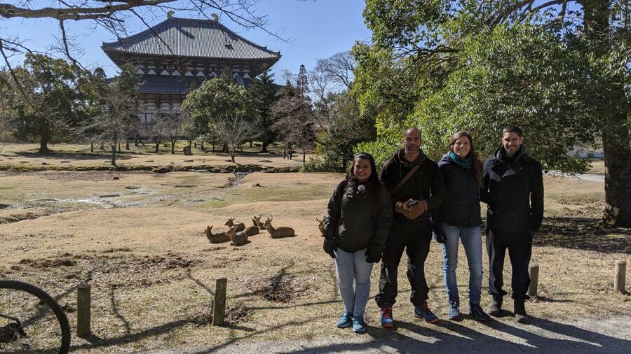 Nara: City Highlights Shared Group or Private Bike Tour - Why a bike works well in Nara