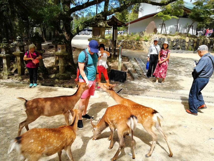 Nara: City Highlights Shared Group or Private Bike Tour - Tōdai-ji and the giant Buddha