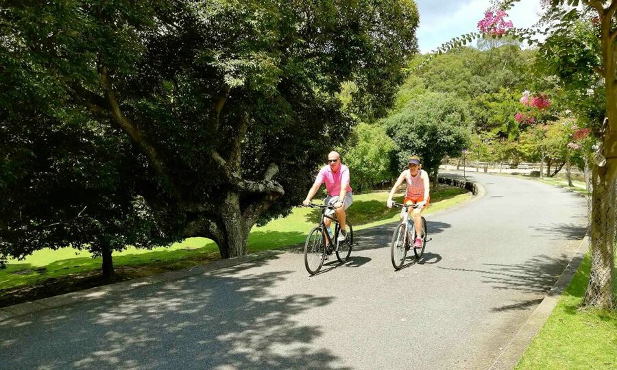 Nara: City Highlights Shared Group or Private Bike Tour - Kasuga Taisha and its lanterns
