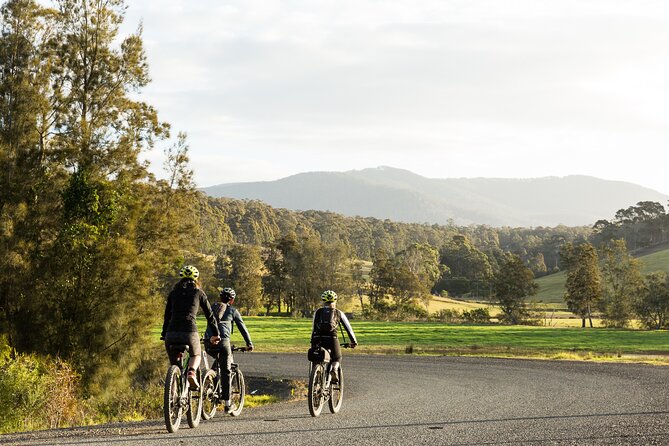 Narooma - E-Bike Hire 2 Hour Rental - Australian Rock, Surf Beach, and Glasshouse Rocks