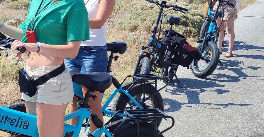 Naxos: Private E-Bike Tour with Farm Lunch - How the guides shape the experience