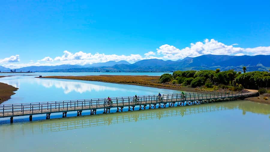 Nelson to Mapua: Full-Day Cycling Self-Guided Adventure - From Nelson streets to the blue trail markers