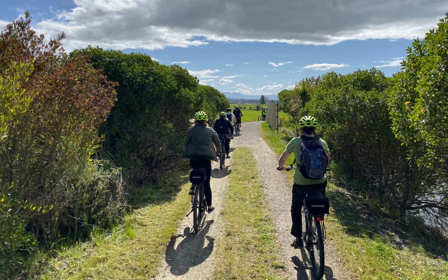 Nelson to Mapua: Full-Day Cycling Self-Guided Adventure - Wineries, breweries, and the Honest Lawyer