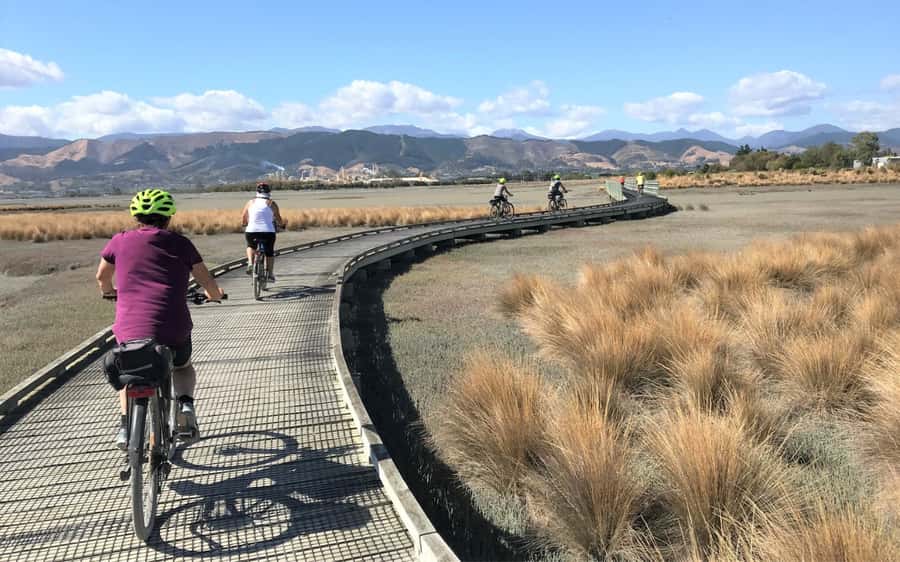 Nelson to Mapua: Full-Day Cycling Self-Guided Adventure - Returning to Nelson by shuttle